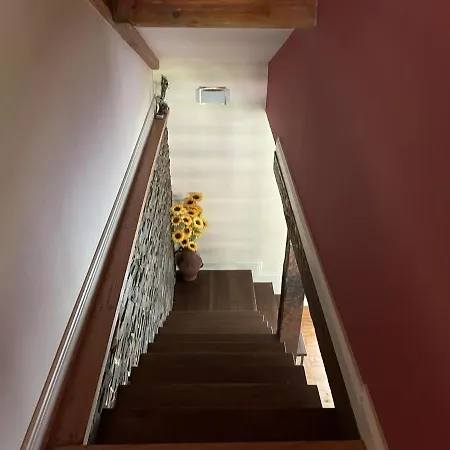 Vakantiehuis O Celeiros Freixo (Norte)